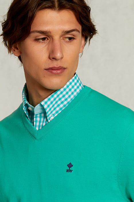 NORMAL FIT BASIC COTTON V-NECK PULLOVER MOSCOW MULE GREEN 4