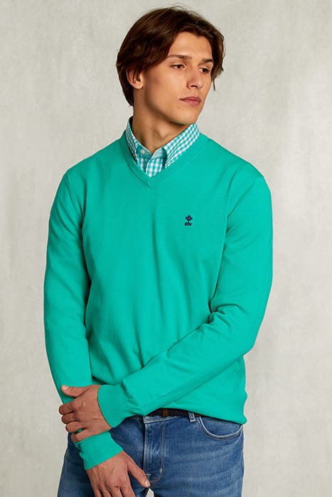 NORMAL FIT BASIC COTTON V-NECK PULLOVER MOSCOW MULE GREEN 1