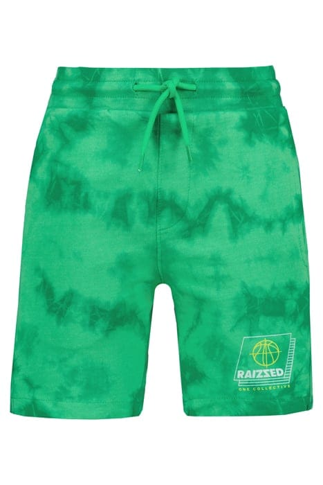 BOYS BRANDON SHORTS GREEN SPORTS 3