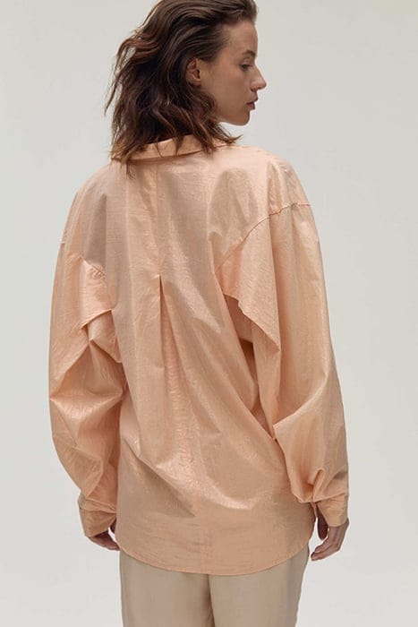 DAINTE PEACH 2