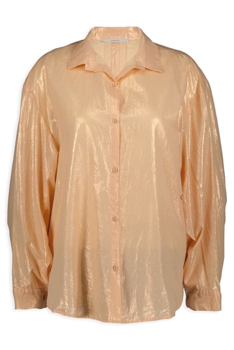 DAINTE PEACH 3