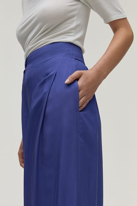 DUEST BLUEBE 5