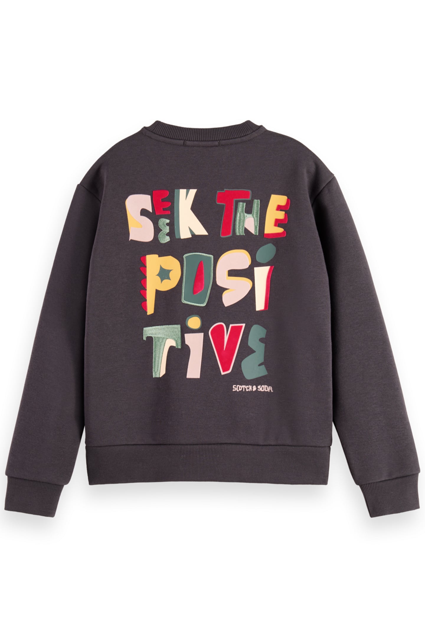 GIRL RELAXED-FIT ARTWORK CREWNECK VINYL 2