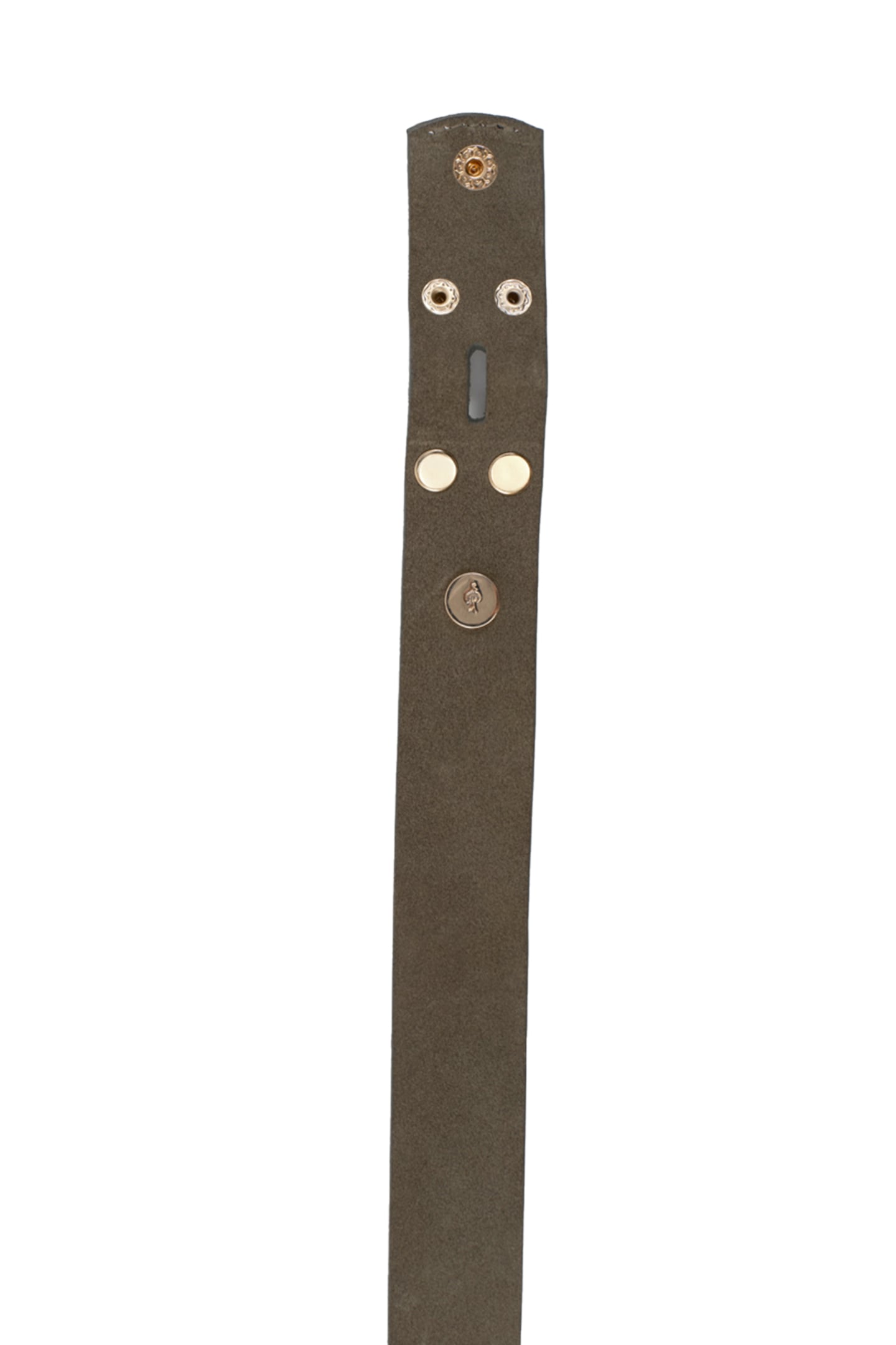 AMOR - KHAKI BELT IN CERTIFIED SUEDE LEATHER 3