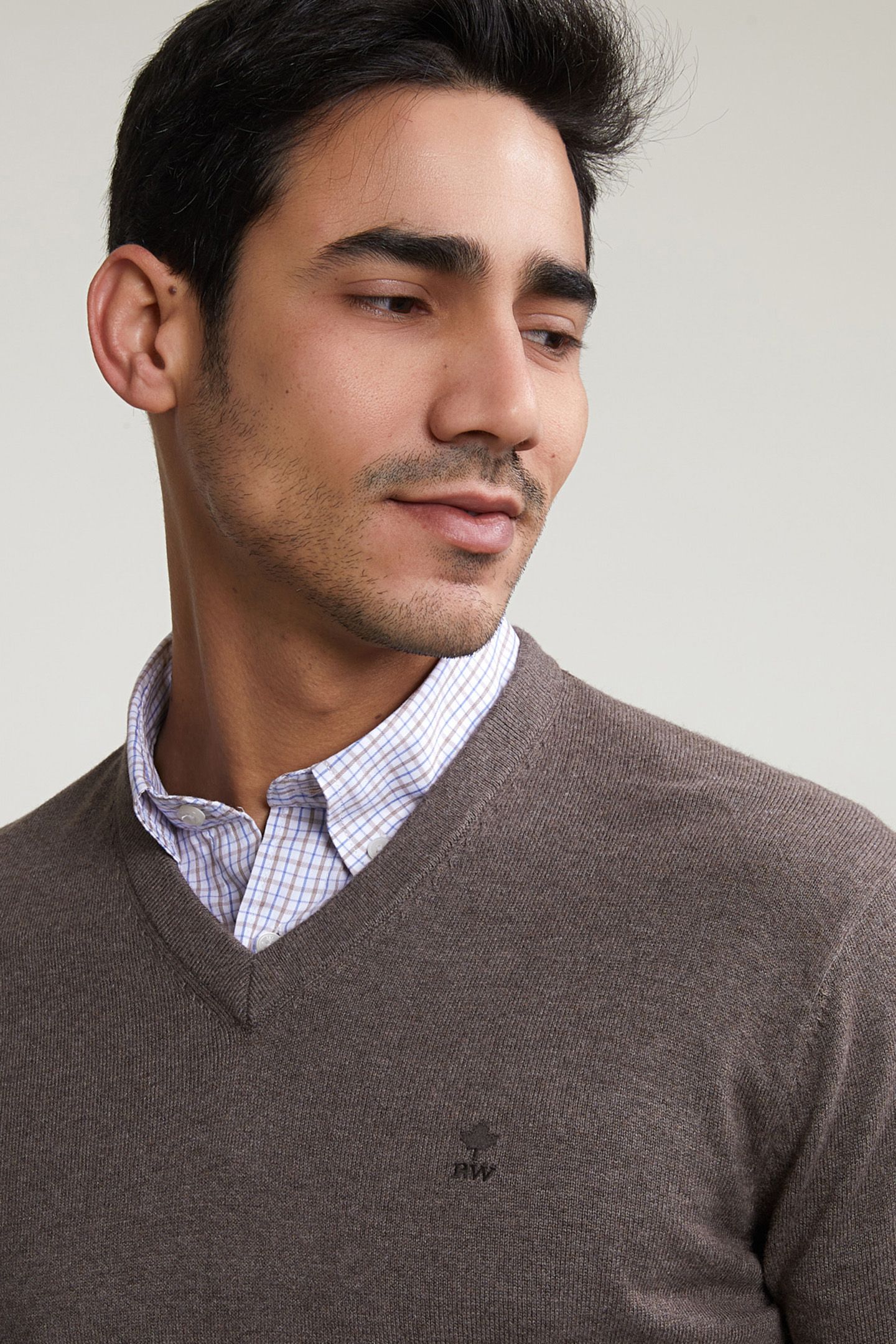 NORMAL FIT BASIC COTTON V-NECK SWEATER CROISSANT MIX 4