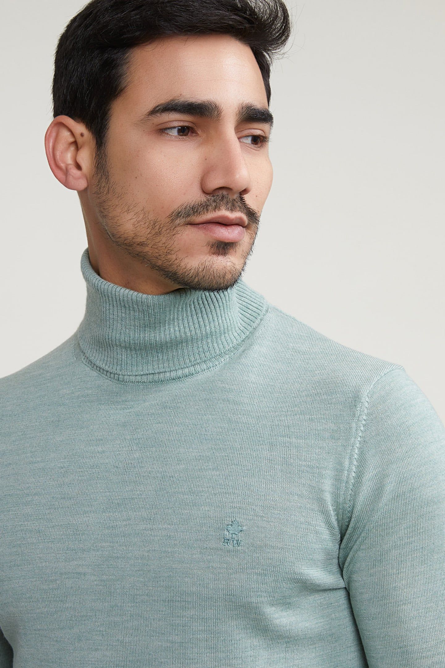 SLIM FIT BASIC MERINO ROLL NECK SWEATER CAPE GREEN MIX 4