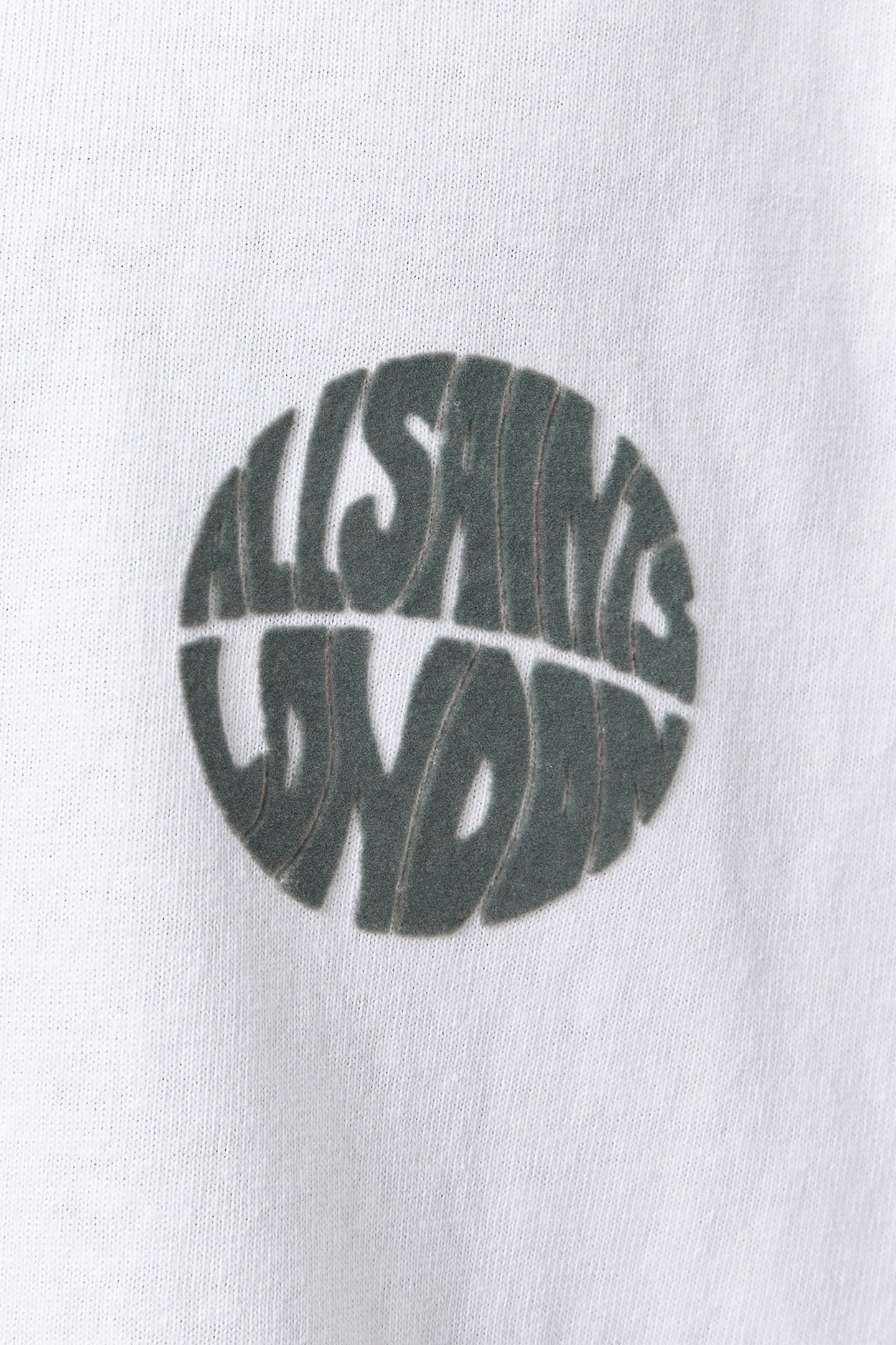 WAVED SS CREW ASHEN WHITE 6