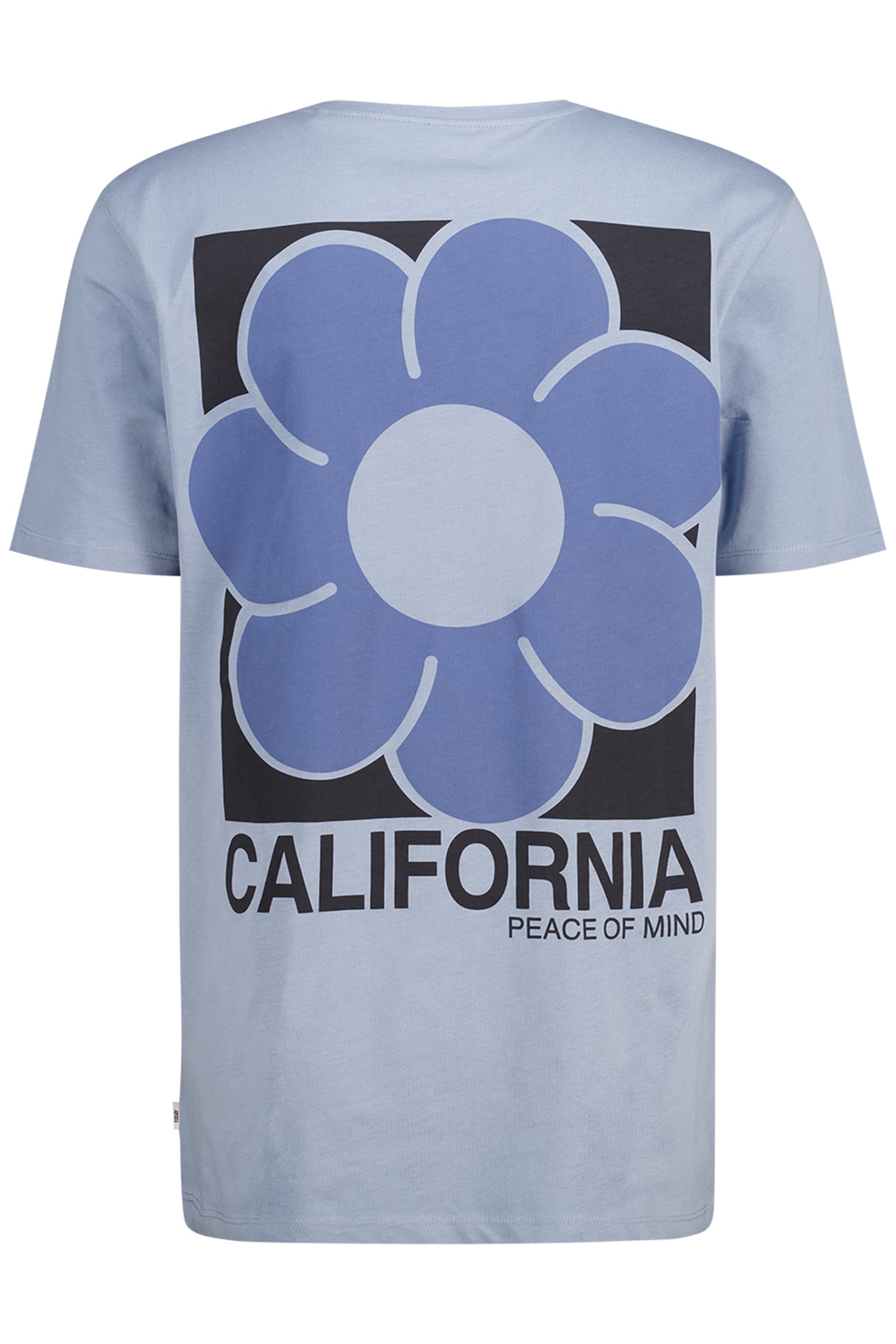 ELDEN Z VINTAGE BLUE 2