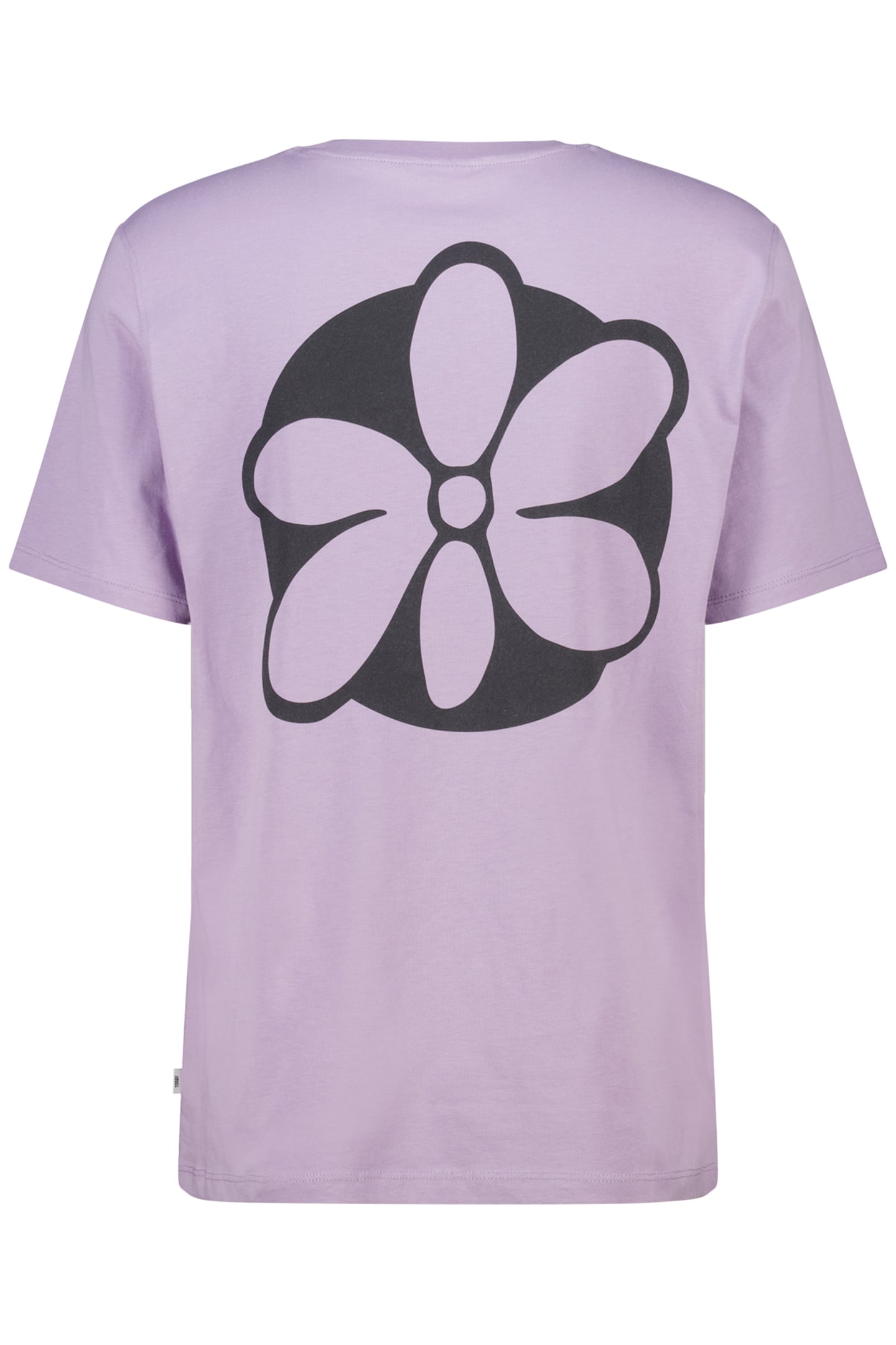 ETIENNE LILAC 4