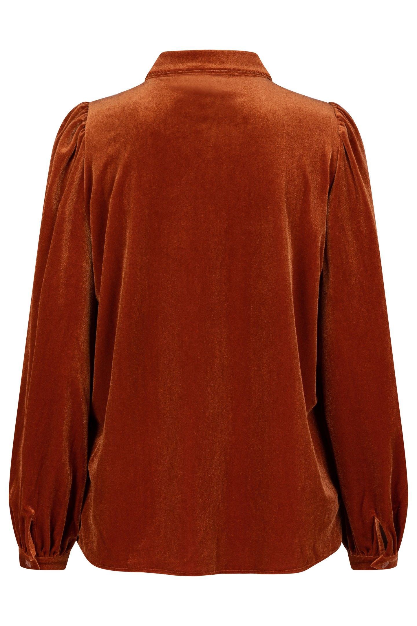 BLOUSE BASIC VELOURS PUMPKIN 6