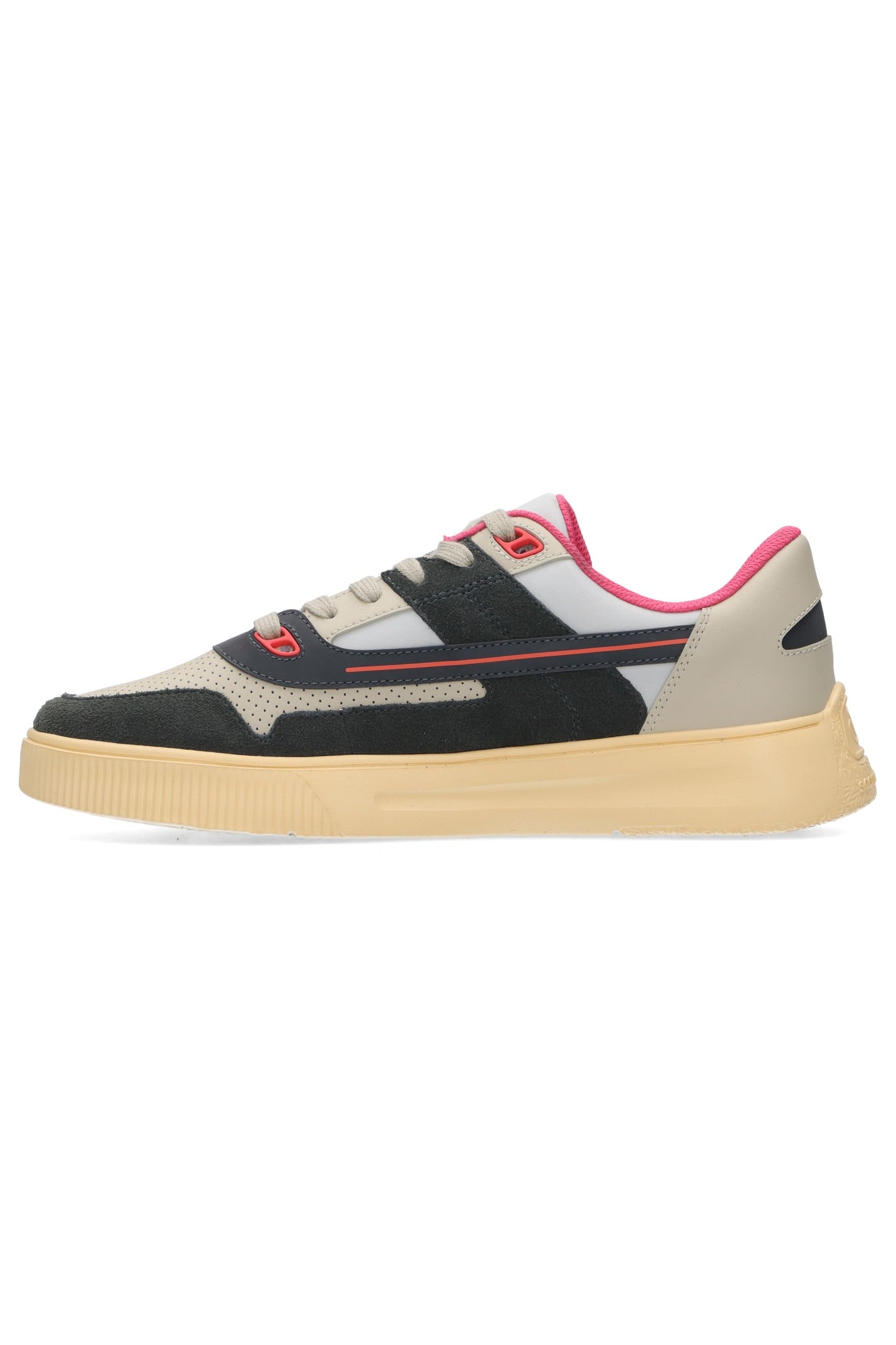 COLEMAN SAND MULTI 2