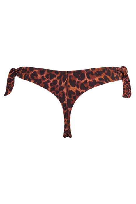 JUNGLE DIVA BROWN AND DARK ORANGE TANGA 4