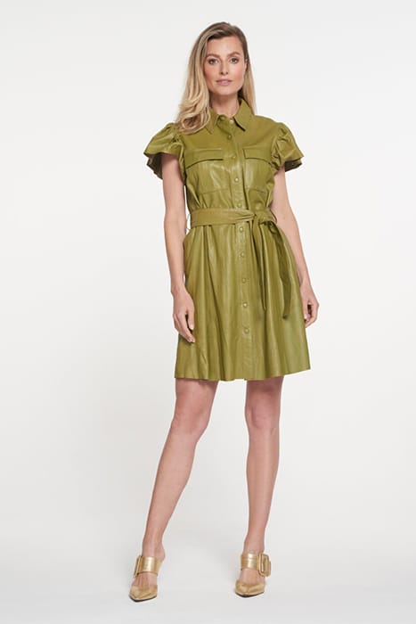 DIEN FOREST GREEN 2