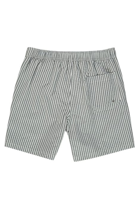WARDEN STRIPE SWIMSH BLUE/WHITE 2