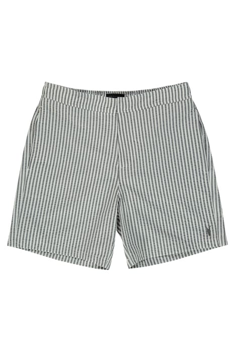 WARDEN STRIPE SWIMSH BLUE/WHITE 1
