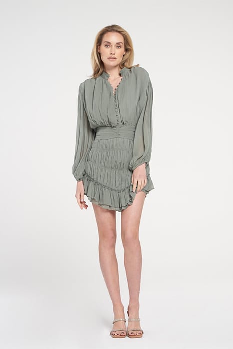 DAXIN OLIVE 1