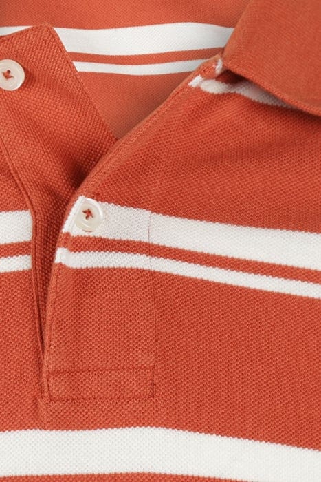 BOLD STRIPE POLO TERRA 3