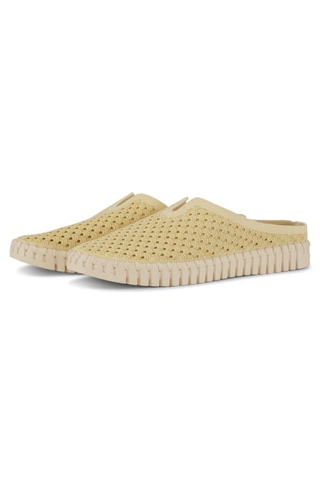 TULIP3071 MICRO FIBER DOUBLE CREAM 6