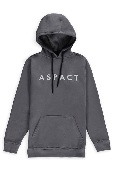 CANNES HOODIE QUICK SILVER 1