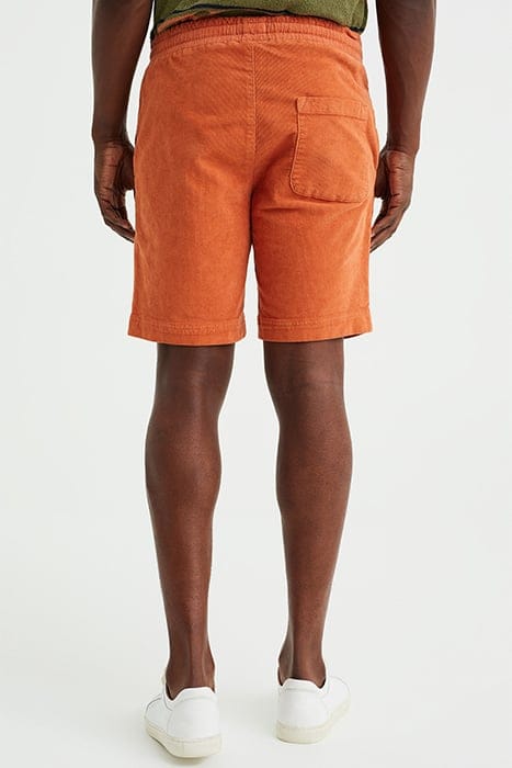 CHINO ORANGE 2