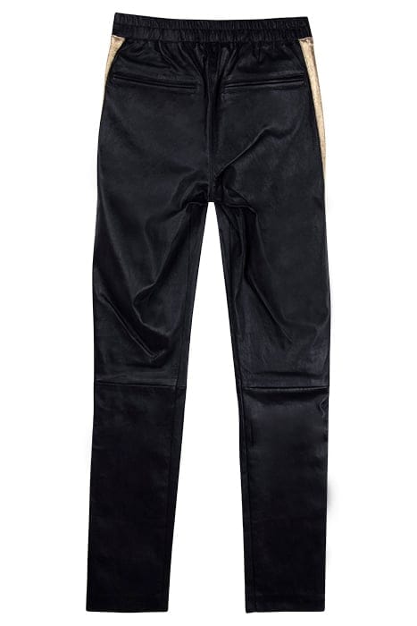 CINNAMON BLACKGOLD 2
