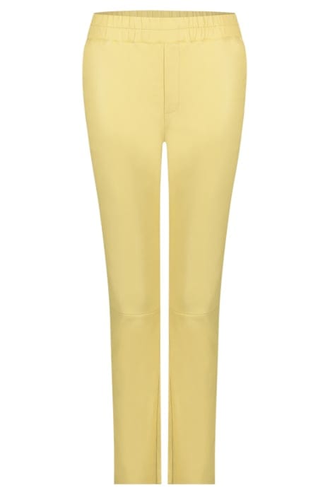 PABLO BUTTERY YELLOW 3