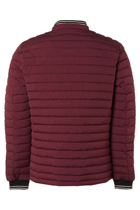 JACKET SHORT FIT PADDED DARK RED 5