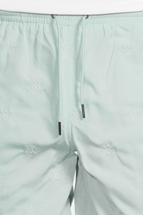 PASTEL TURQUOISE ESWIM SHORTS 5