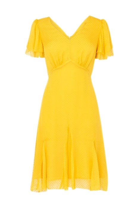 DR HALLY MUSTARD 2
