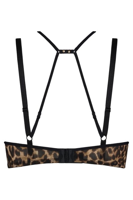 VIXEN LEOPARD PRINT PUSH UP BRA 4