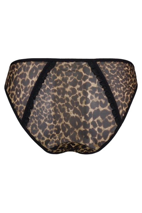 VIXEN LEOPARD PRINT BRIEFS 4