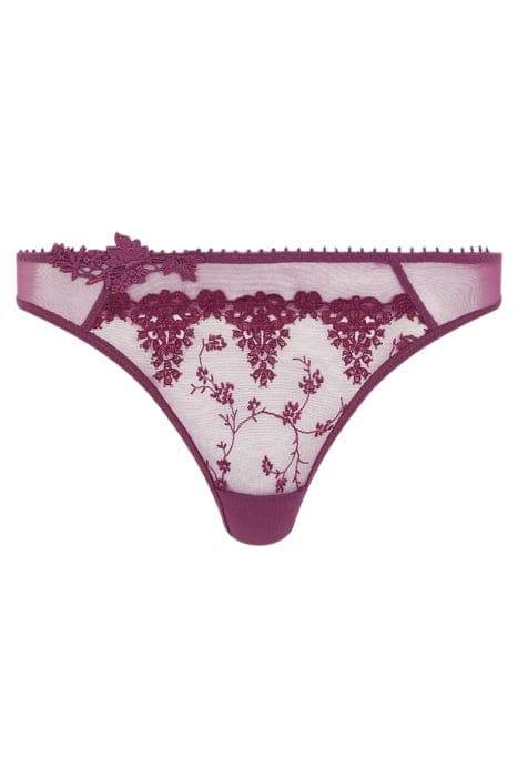 CO BO. THONG STD STD W. TANNIN 3