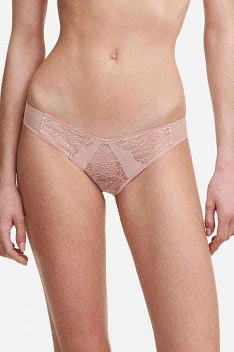 CO BO. BRIEF STD STD W. SPARK-ENGLISH ROSE 1