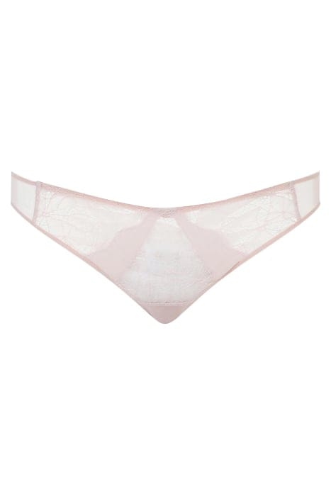 CO BO. BRIEF STD STD W. SPARK-ENGLISH ROSE 3