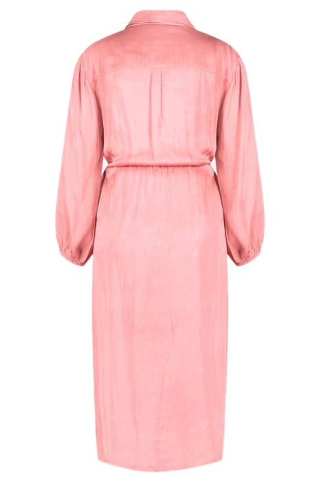 DAYEN BLUSH 4
