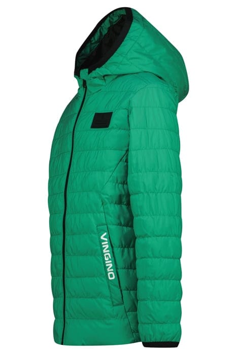 TOSPO EVERGREEN 3