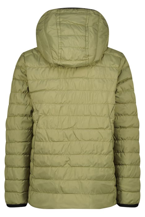 TOSPO LAUREL GREEN 4