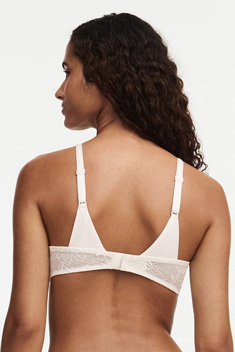 ORCHIDS BEIGE 2