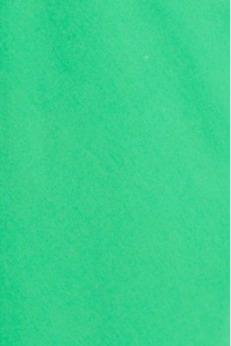 SKIRT TENCEL ISLAND GREEN 5
