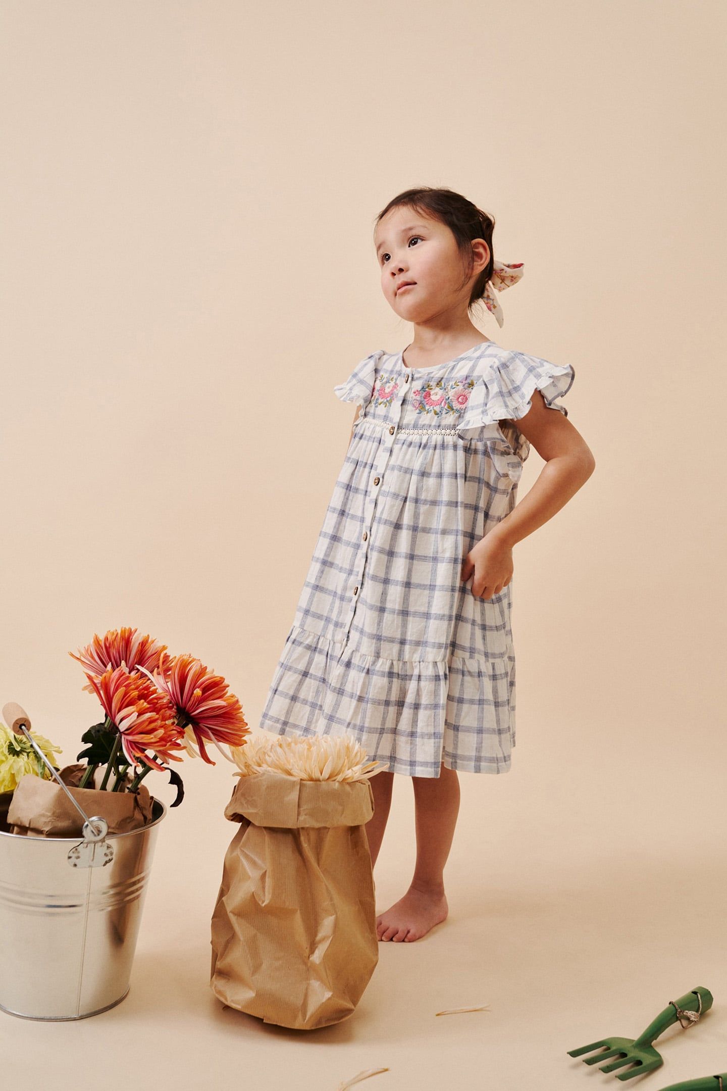 DRESS CARLINA BLUE RIVER CHECKS 4