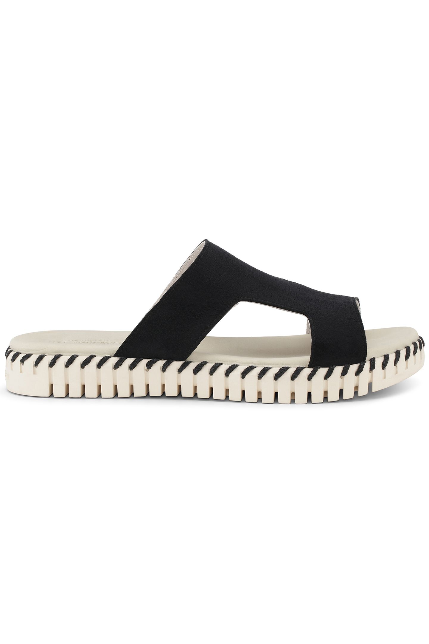 TULIP1675 BLACK 1