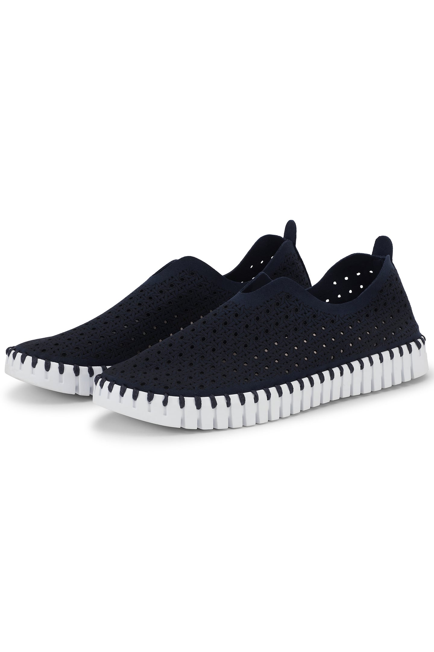 TULIP4031 DARK INDIGO WHITE 3