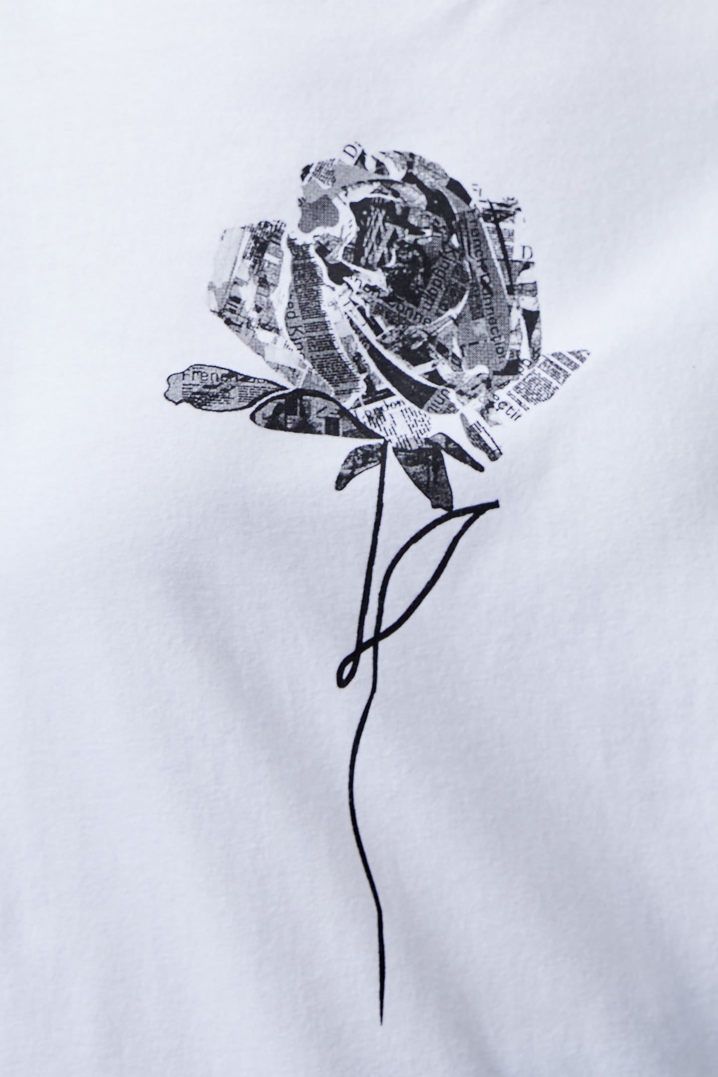1OSE LOGO PEACHED GRAPHIC TEE LINEN WHITE 4
