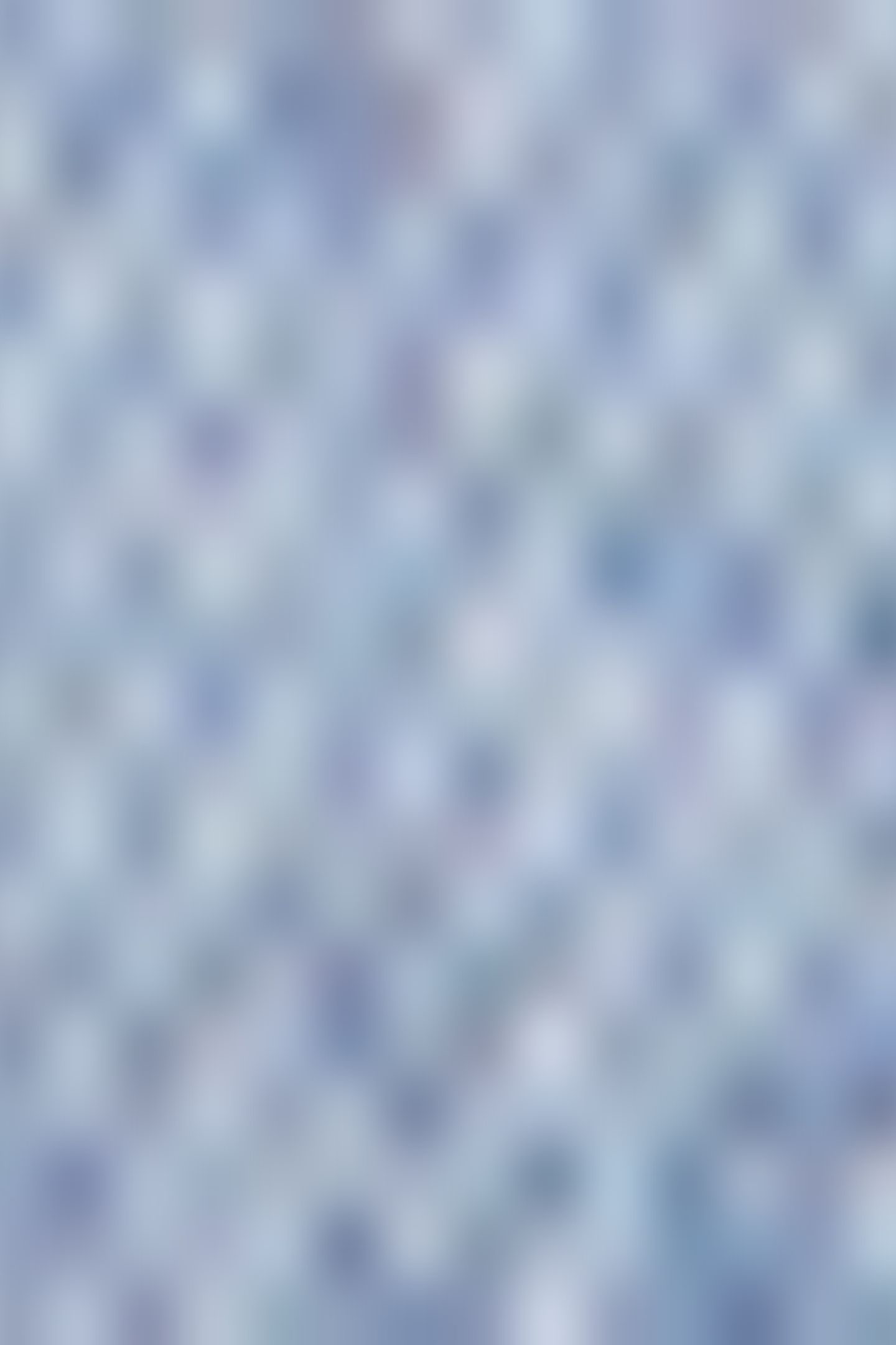 NEIL VINTAGE BLUE 5