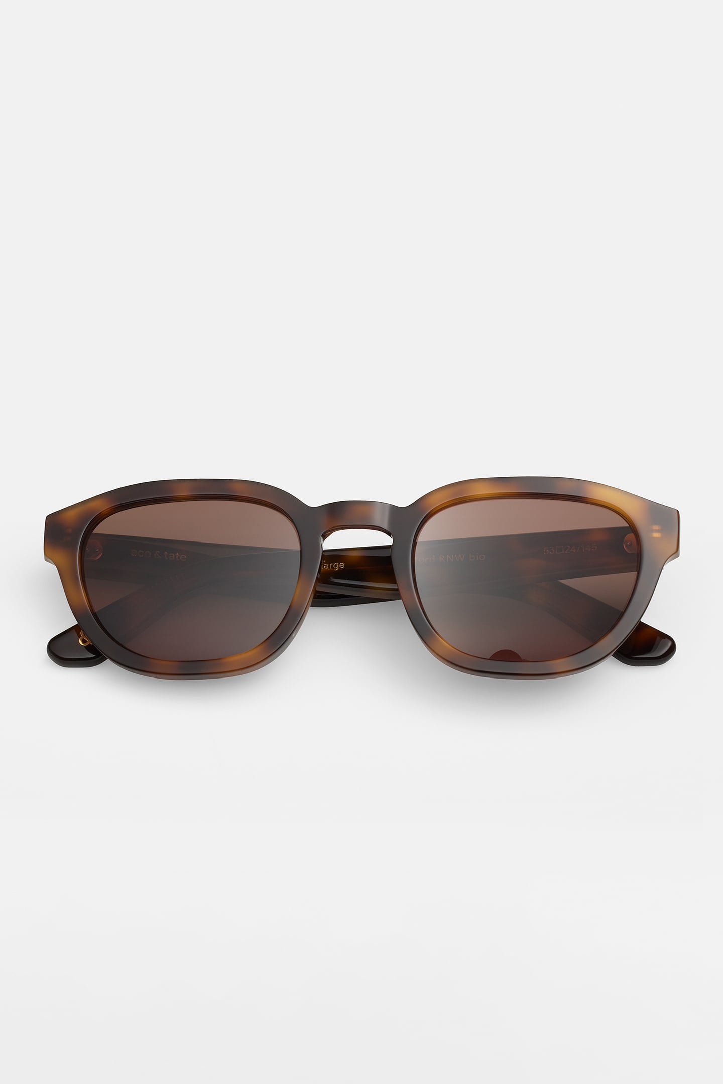 OTIS-LARGE-OXFORD-SUN 2