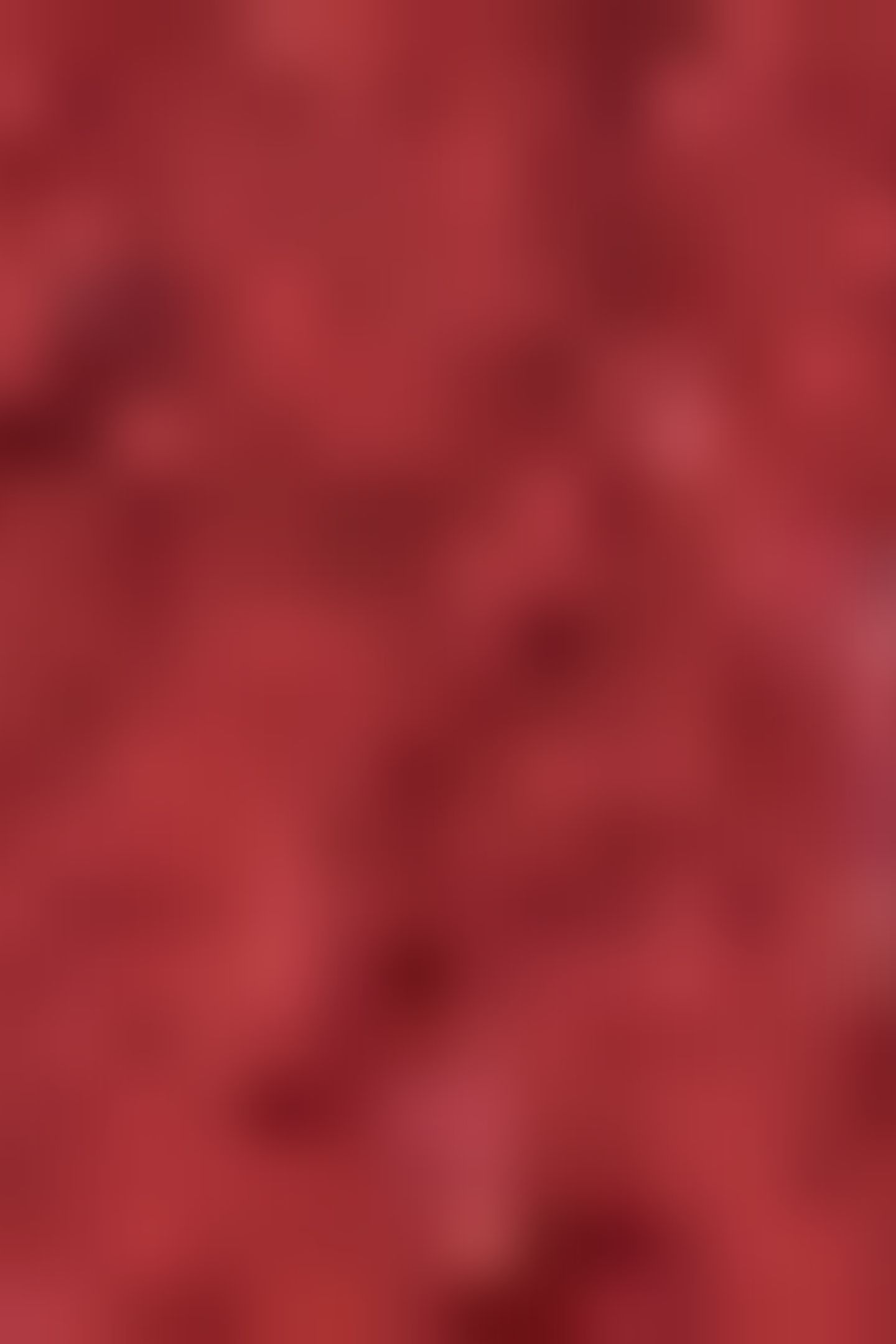 KARDY JR BURGUNDY 5