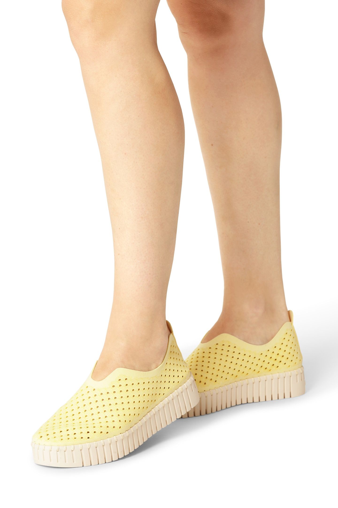 FLATS TULIP3373 LEMON DROP 1