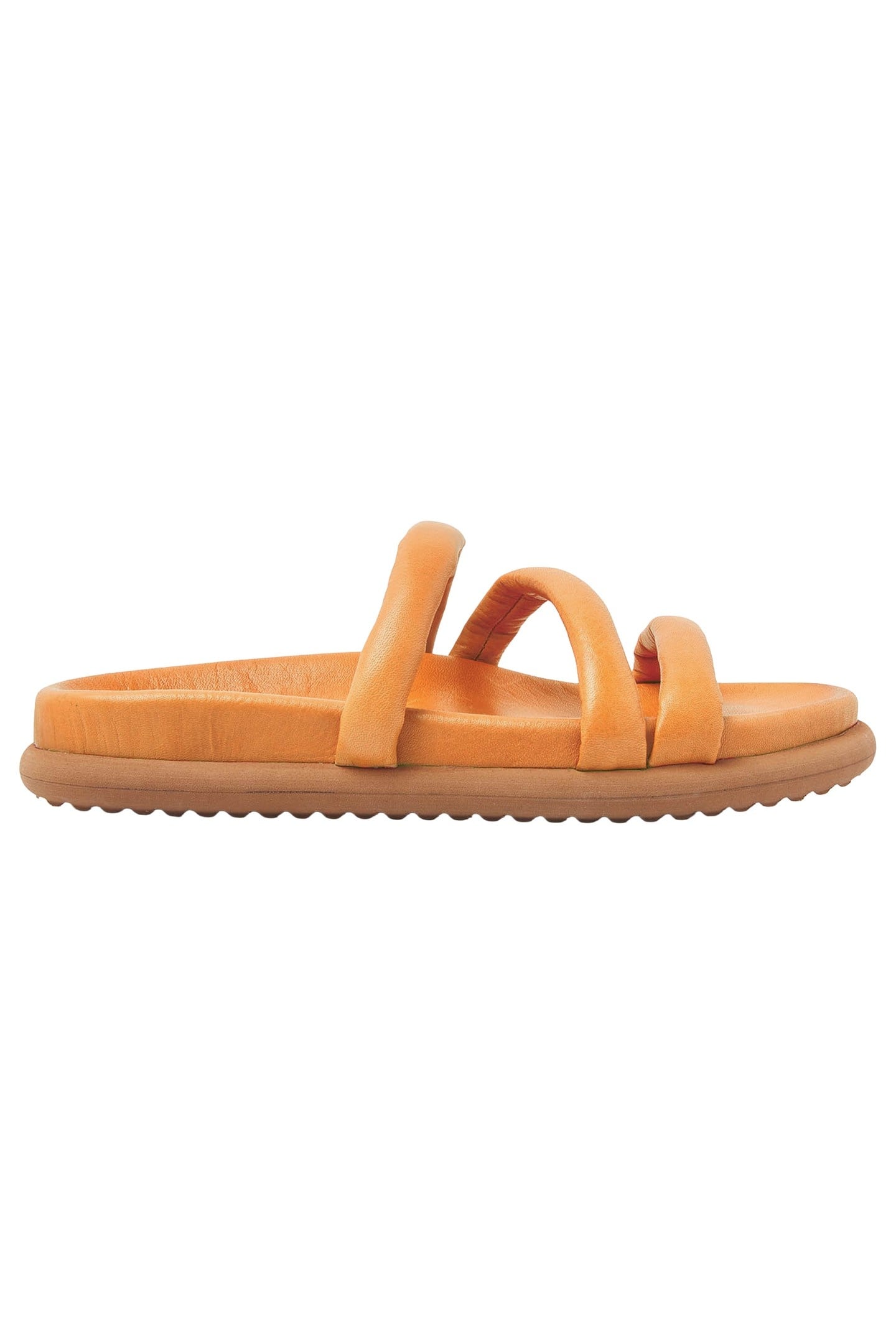 CANDY POP ORANGE 1