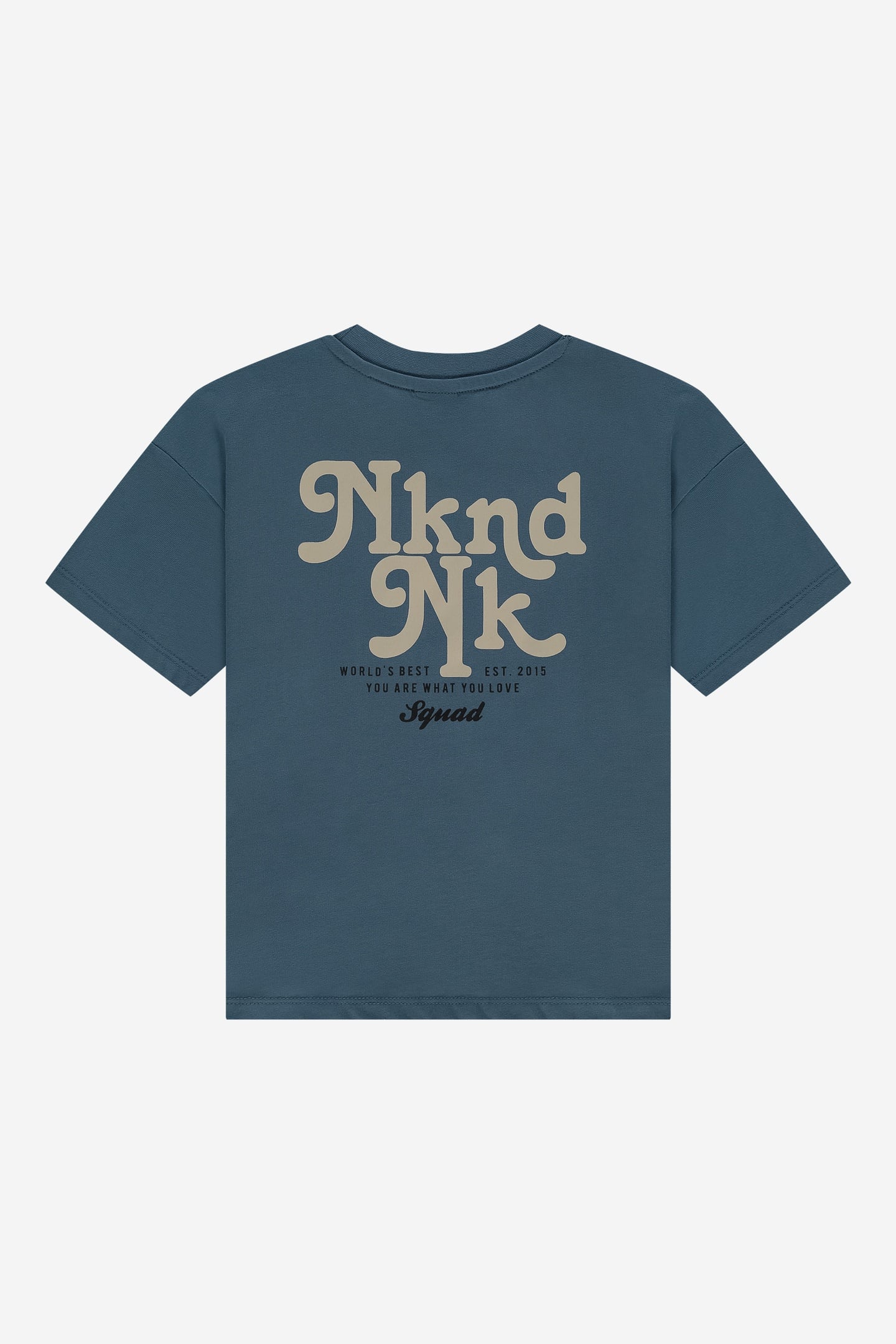 NKNDNK T-SHIRT DUSTY BLUE 2