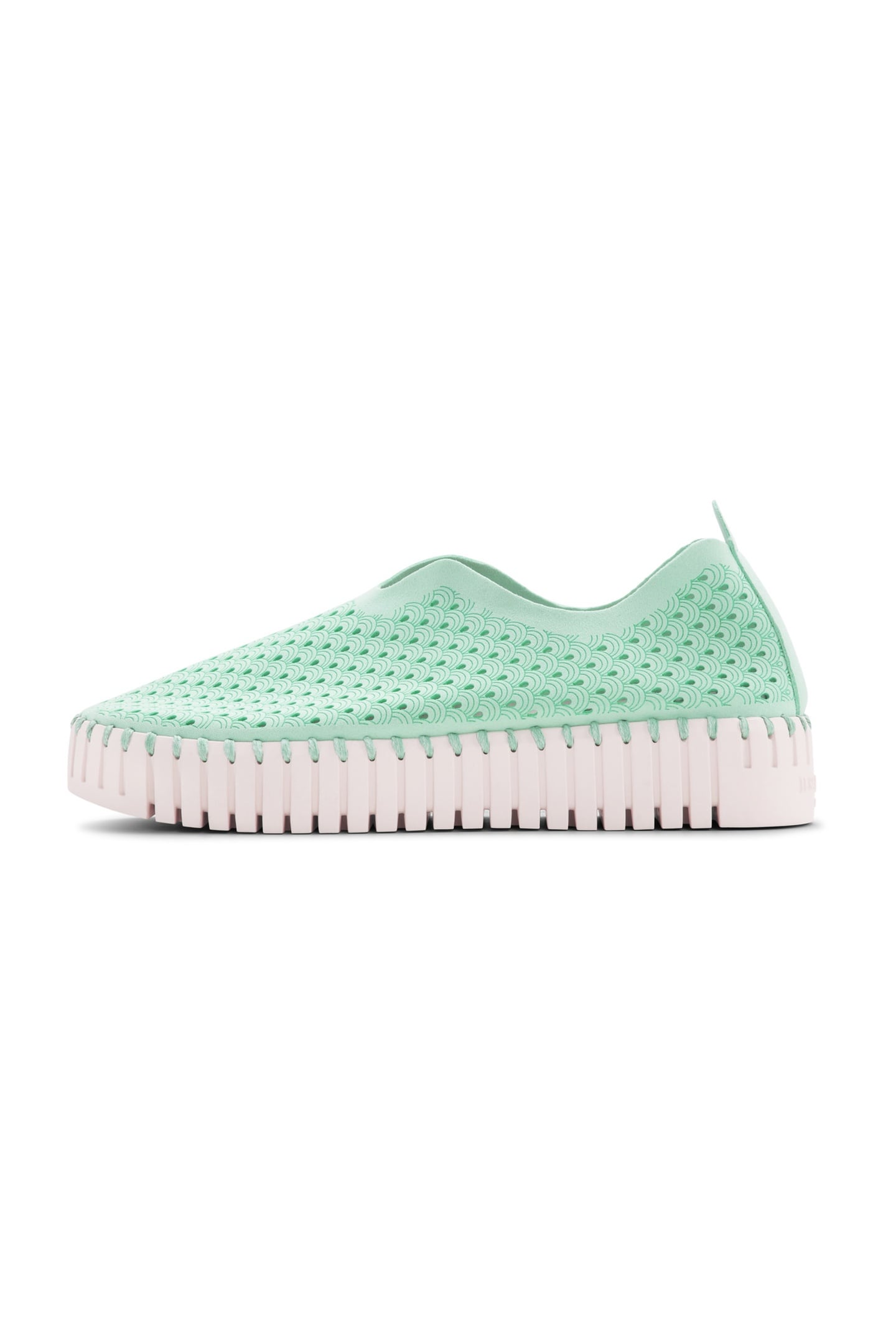 FLATS TULIP3373 YUCCA 4